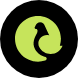 Aigeon AI