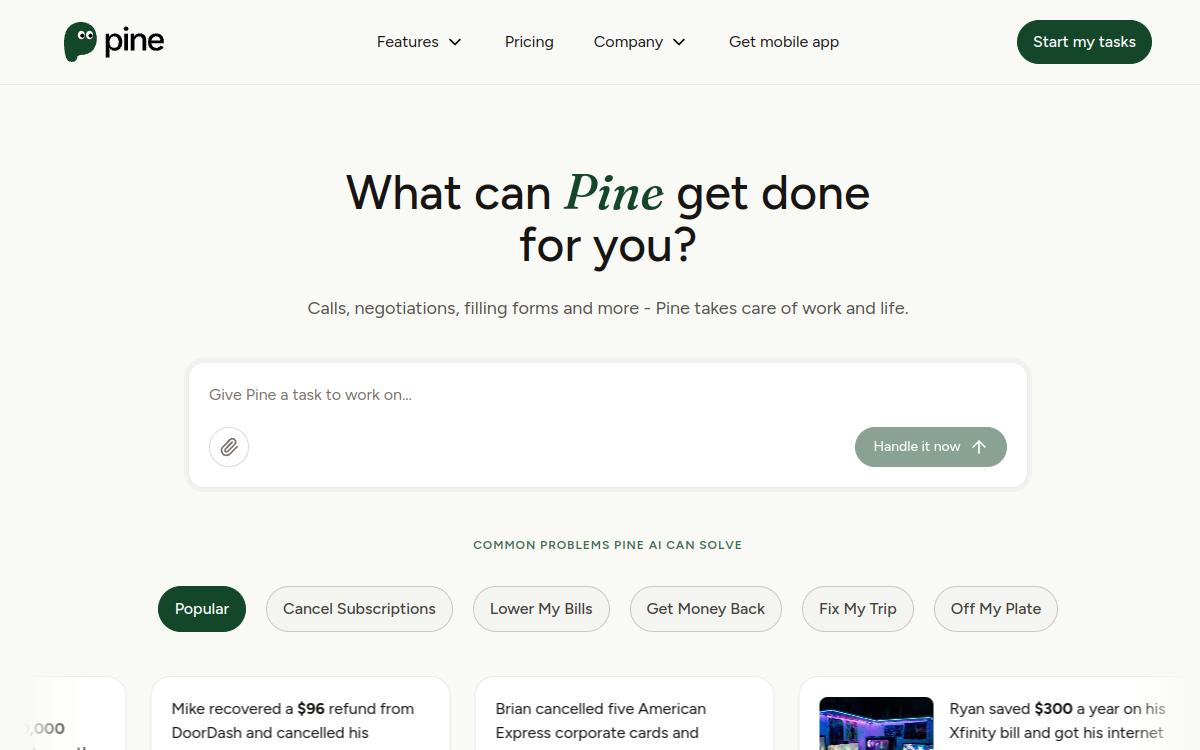 Screenshot von Pine AI