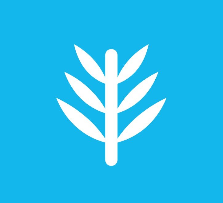 Logo Palmio