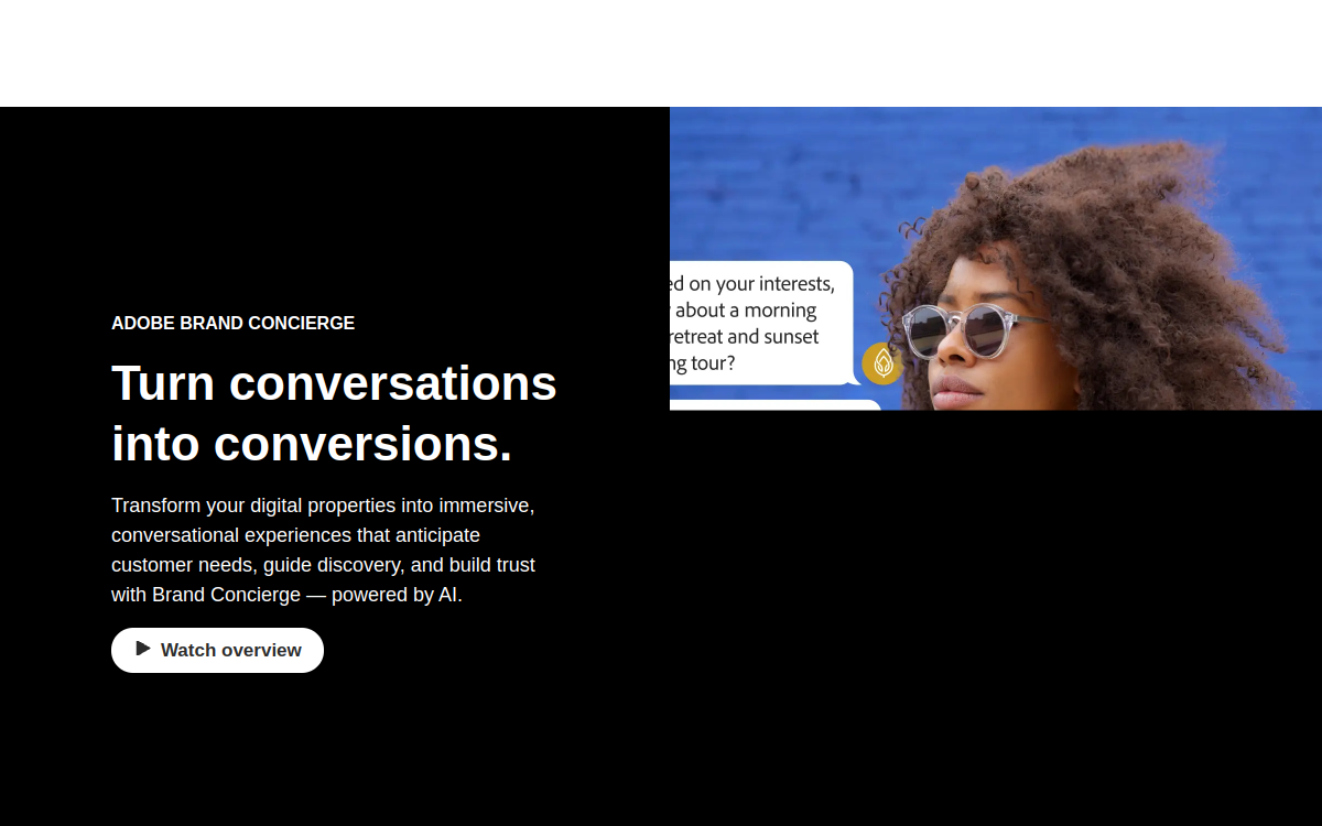 Screenshot von Adobe Brand Concierge