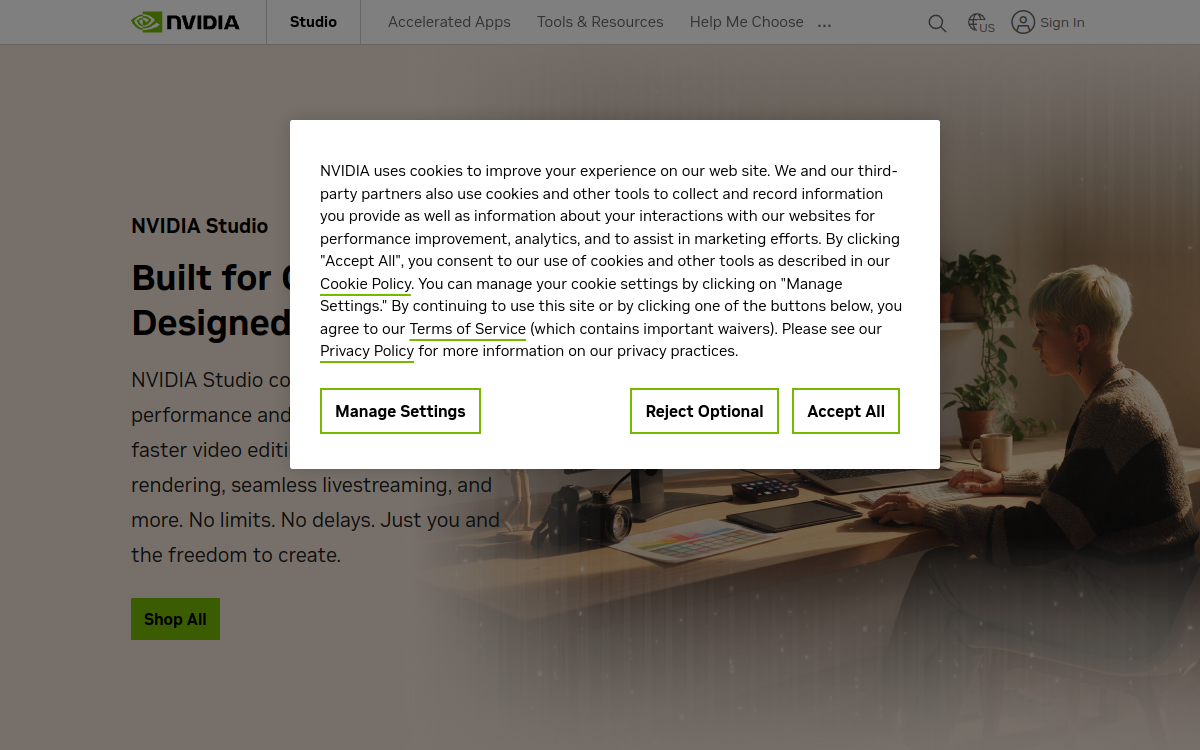 Screenshot von NVIDIA Canvas